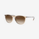 resized_sunglasses2