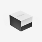 resized_watch_box
